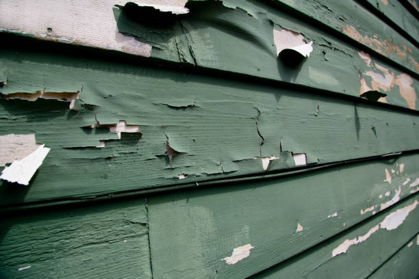 Best Steel Siding Installation  in Maywood, CA
