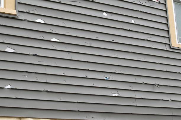 Affordable siding repair and maintenance services in Maywood, CA